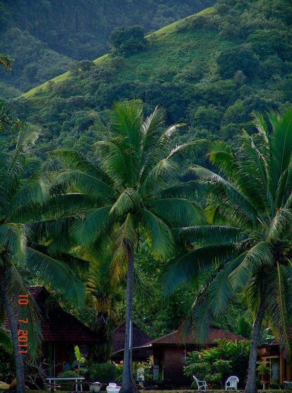 Teahupoo Tauhanihani Village Lodge La Vague Bleue المظهر الخارجي الصورة